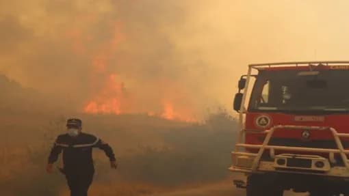 حرائق الجزائر المرعبة.. من يتآمر على من؟